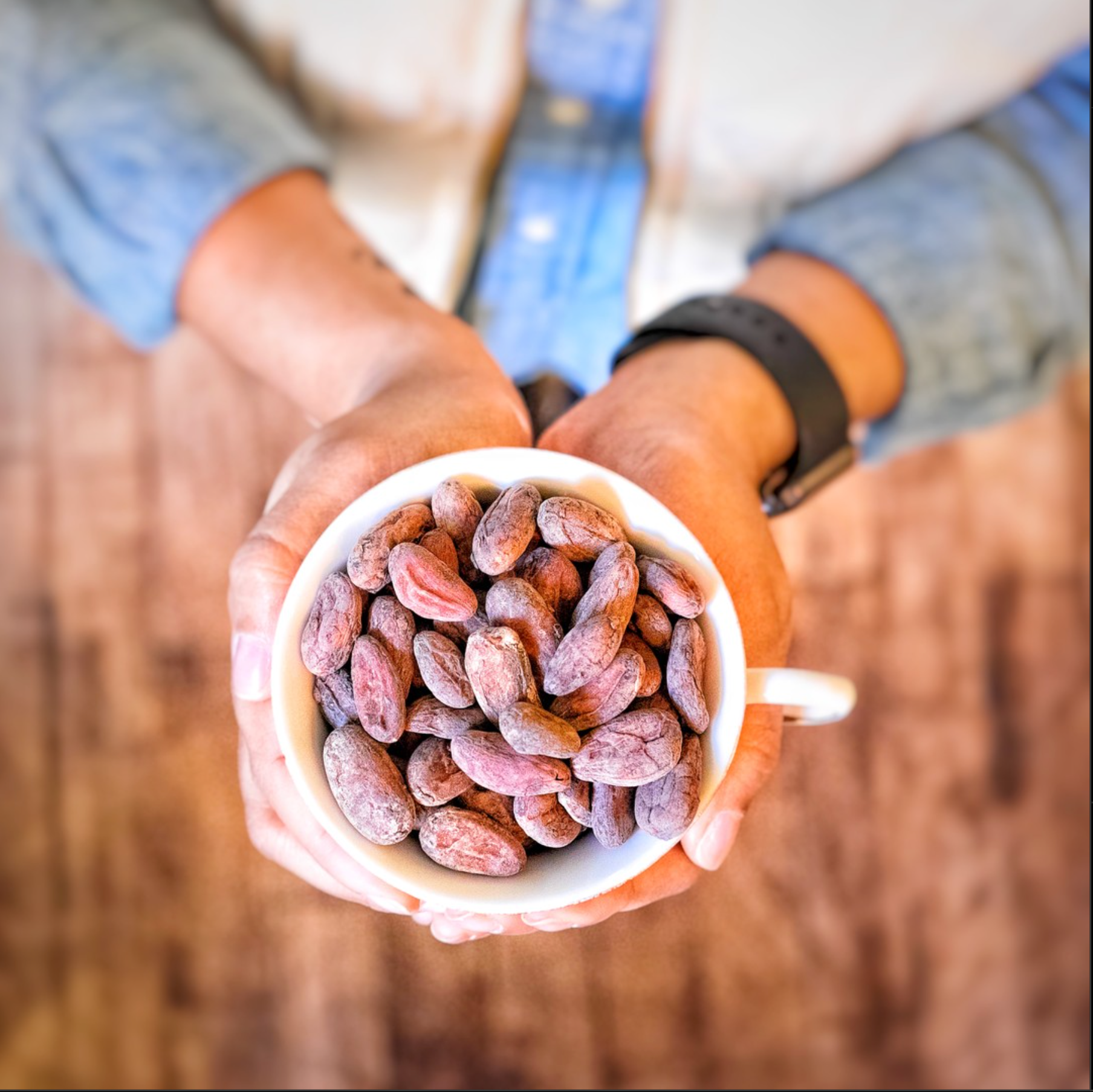 THE BATTLE BETWEEN CACAO vs. COCOA