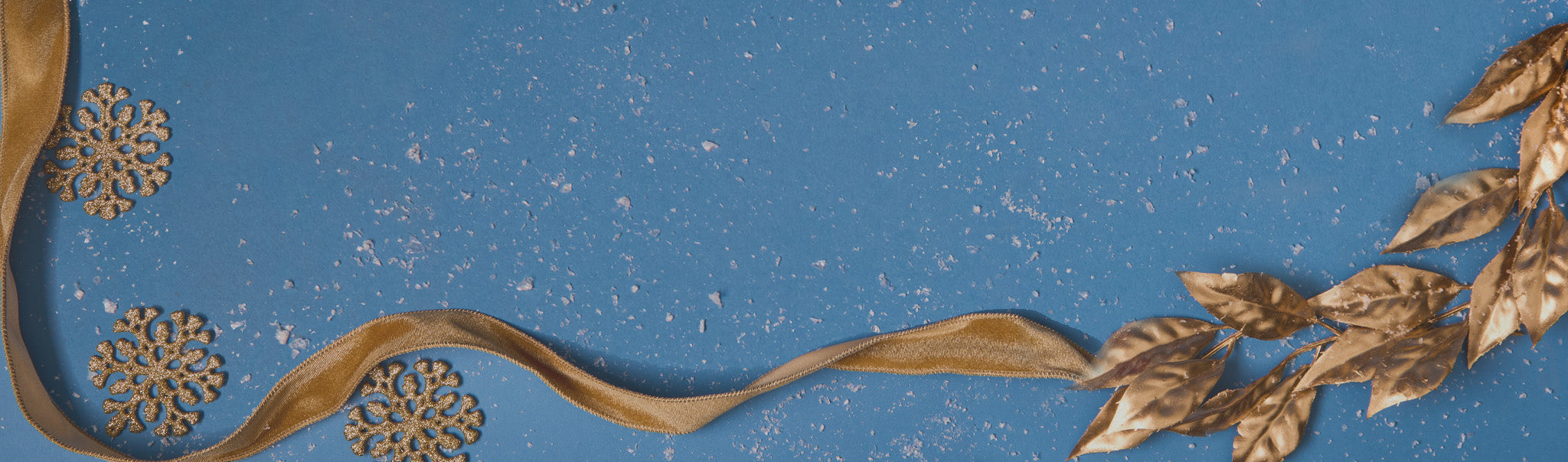 2025 Holiday Collection