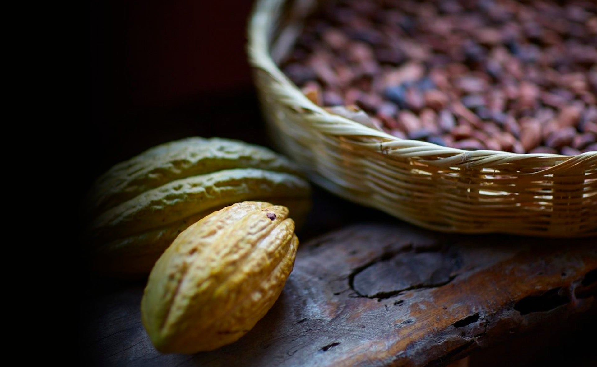 Cacao beans in a basket.