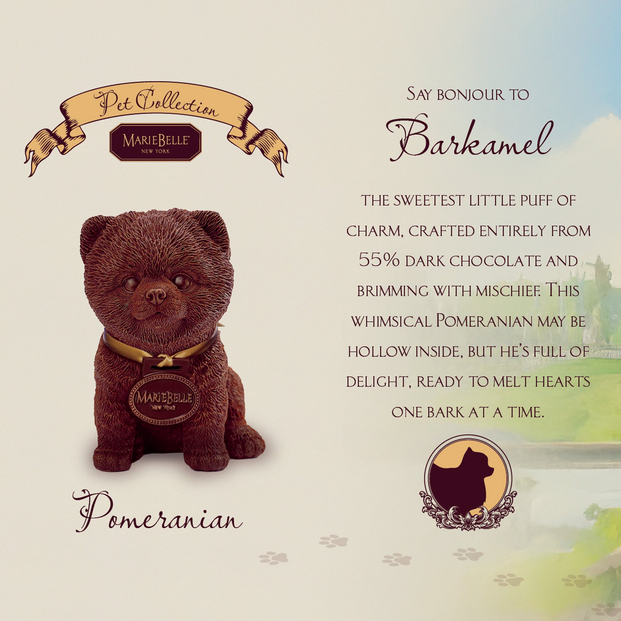 MarieBelle's Chocolate Pet: Pomeranian